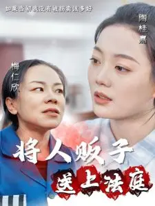 将人贩子送上法庭 海报
