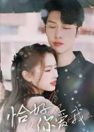 《恰好你爱我》：都市爱情中的偶然与必然
