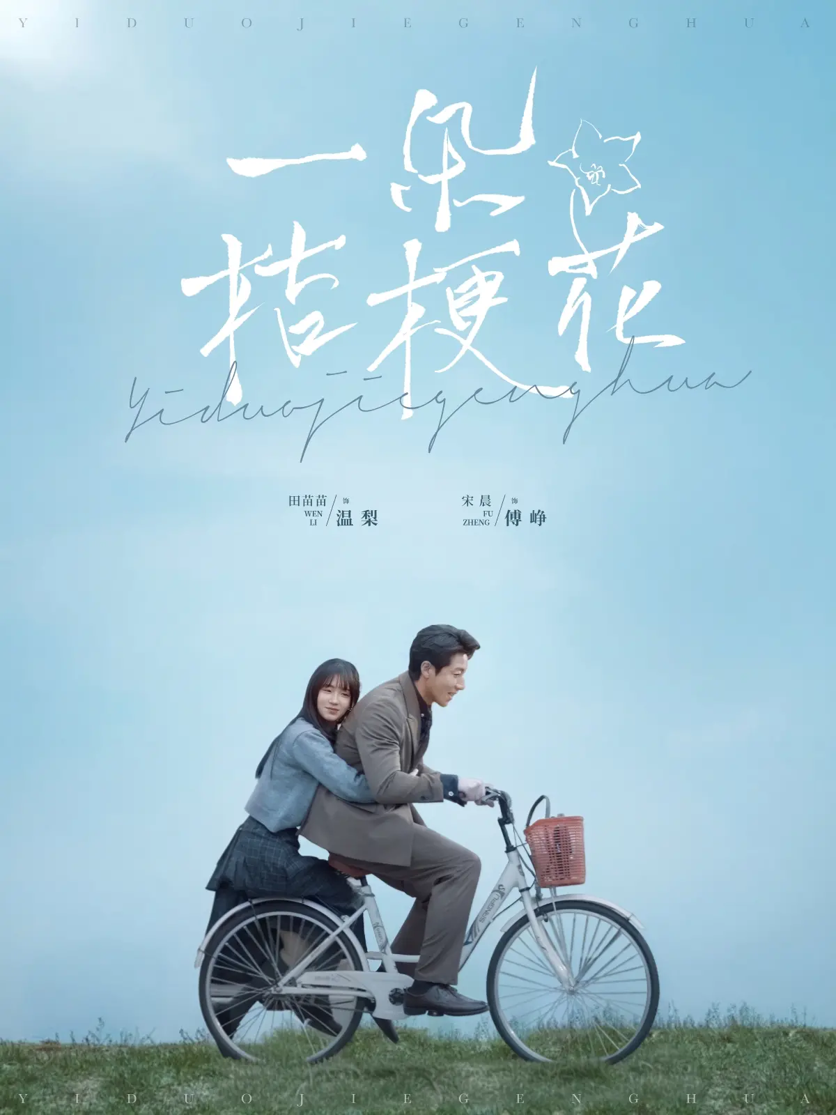一朵桔梗花：凄美爱情中绽放的坚韧与希望