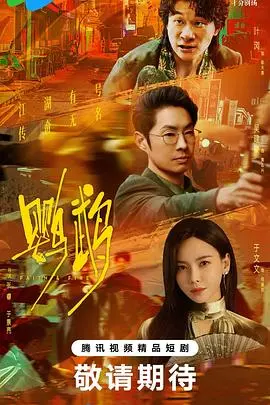 《鹦鹉》：爱与失忆交织，一场关于身份与记忆的悬疑之旅